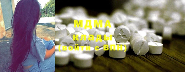 индика Пересвет