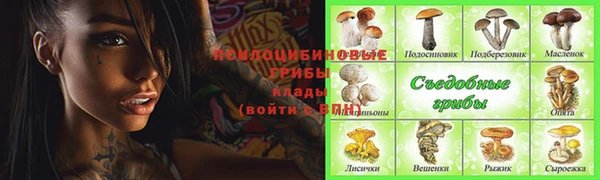 прущие крисы Покровск