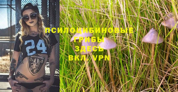 прущие крисы Покровск