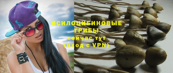 прущие крисы Покровск