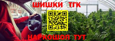 эйфоретик Аргун