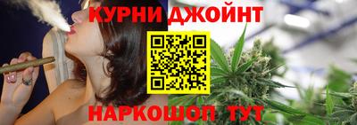 mdpv Гатчина