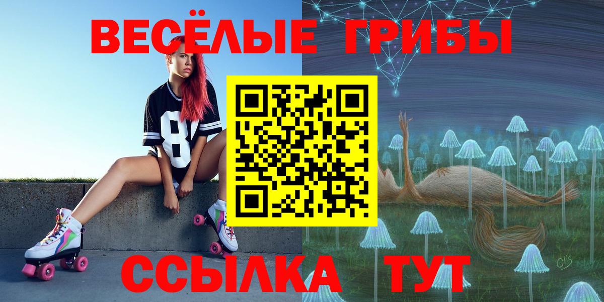 Псилоцибиновые грибы Psilocybe Великие Луки