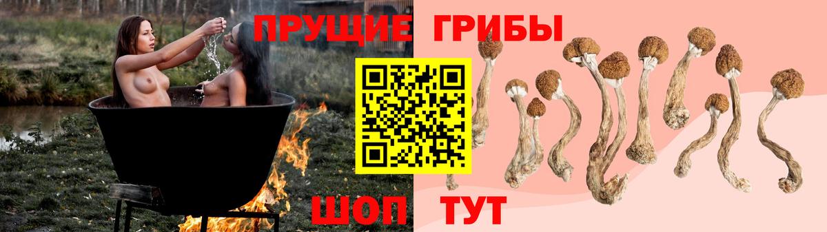 Псилоцибиновые грибы GOLDEN TEACHER  Вход с VPN  Великие Луки  сколько стоит  Псилоцибиновые грибы Psilocybine cubensis 