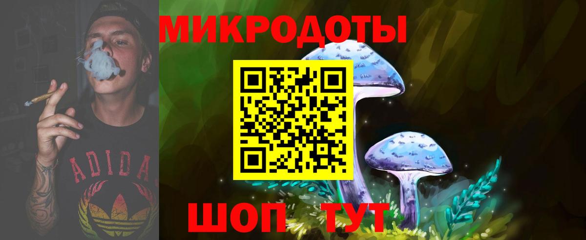 цена   Великие Луки  Псилоцибиновые грибы Psilocybe 